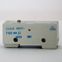 Saia X01 20a Microswitch with pin plunger